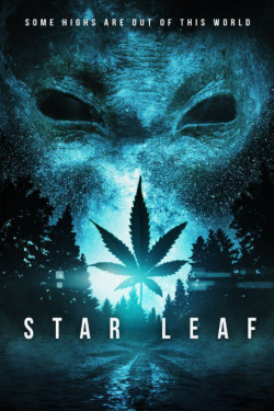 Star Leaf pictures.