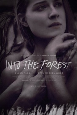 Into the Forest pictures.