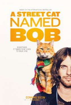 A Street Cat Named Bob - wallpapers.