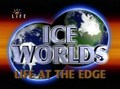Ice Worlds. Life at the Edge - wallpapers.