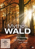 Mythos Wald pictures.