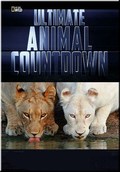 Ultimate Animal Countdown: Soldiers - wallpapers.