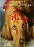 For the Love of a Dog - wallpapers.