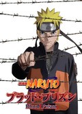 Gekijouban Naruto Shippuuden Movie 5: Blood Prison - wallpapers.