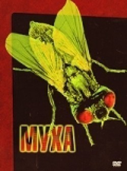 The Fly - wallpapers.