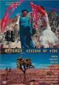 Synergy: Visions of Vibe pictures.