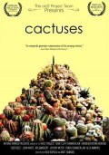 Cactuses pictures.
