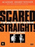 Scared Straight! - wallpapers.