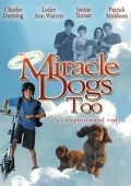 Miracle Dogs Too pictures.