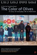 El color de los olivos pictures.