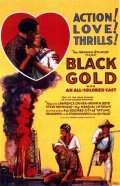 Black Gold pictures.