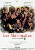 Les marmottes - wallpapers.