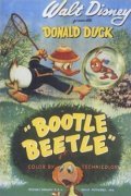 Bootle Beetle pictures.
