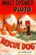 Rescue Dog - wallpapers.