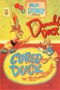 Cured Duck - wallpapers.
