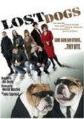 Lost Dogs - wallpapers.