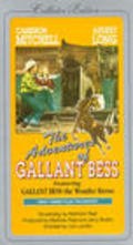 Adventures of Gallant Bess - wallpapers.