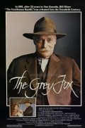 The Grey Fox pictures.