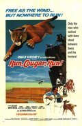 Run, Cougar, Run - wallpapers.