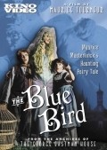 The Blue Bird pictures.