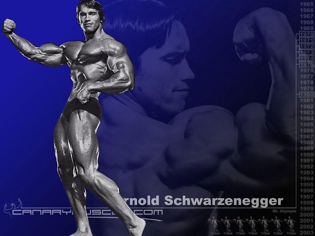Arnold Schwarzenegger wallpaper №7498.