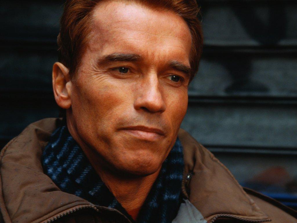 Arnold Schwarzenegger wallpaper №228.