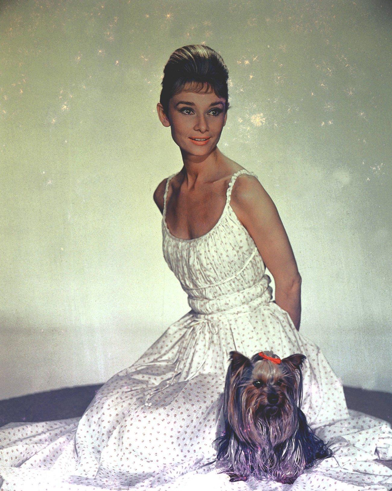 Audrey Hepburn wallpaper №11195.