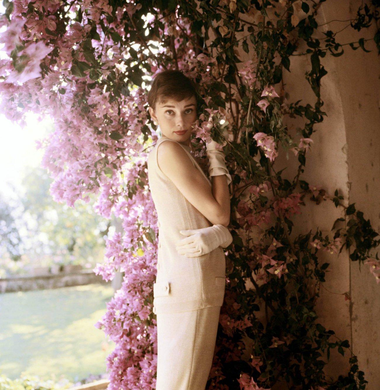 Audrey Hepburn wallpaper №11061.