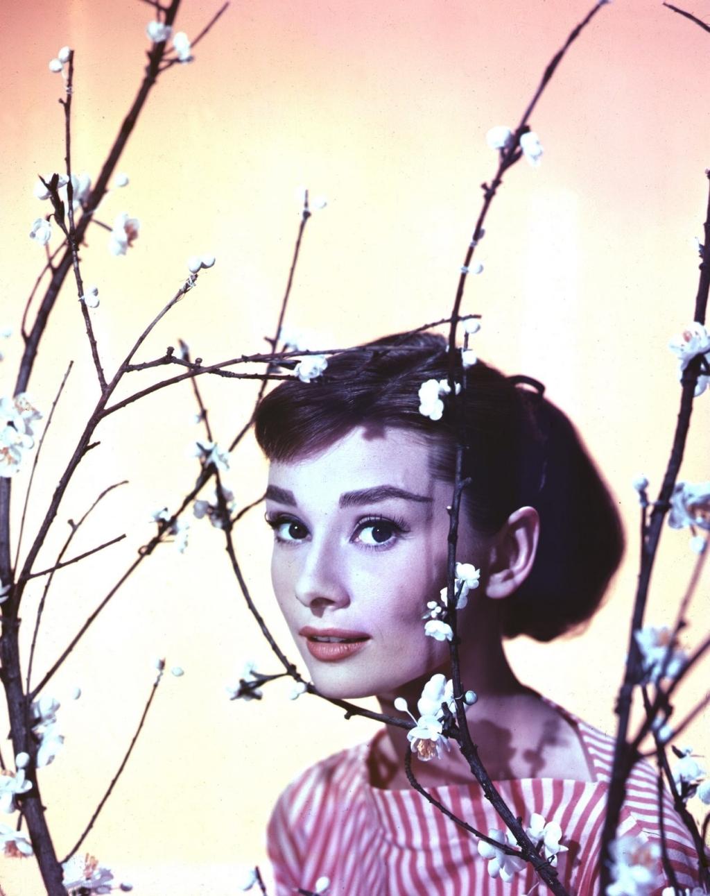 Audrey Hepburn wallpaper №11109.