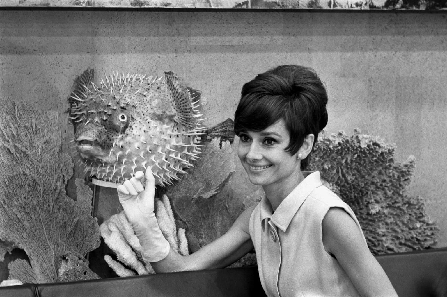 Audrey Hepburn wallpaper №11235.