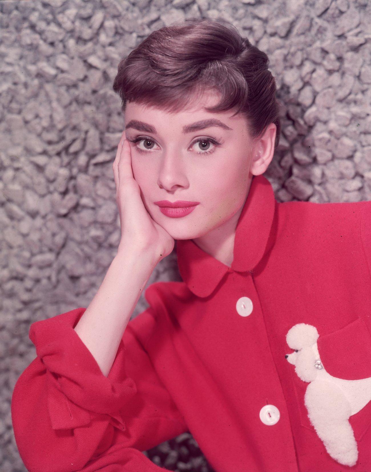 Audrey Hepburn wallpaper №10993.