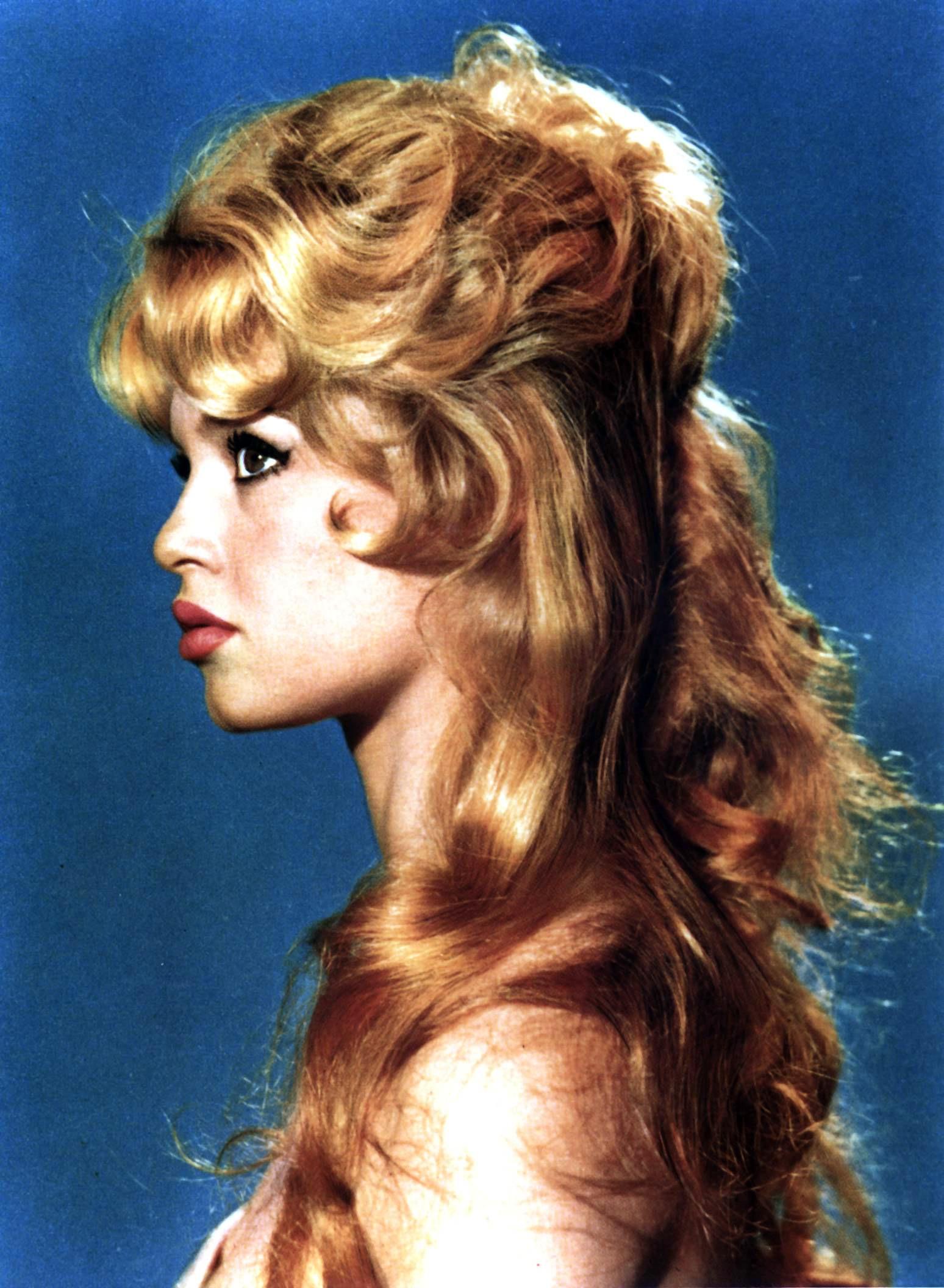 Brigitte Bardot wallpaper №9533.