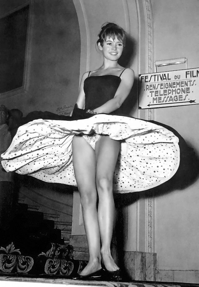 Brigitte Bardot wallpaper №9529.