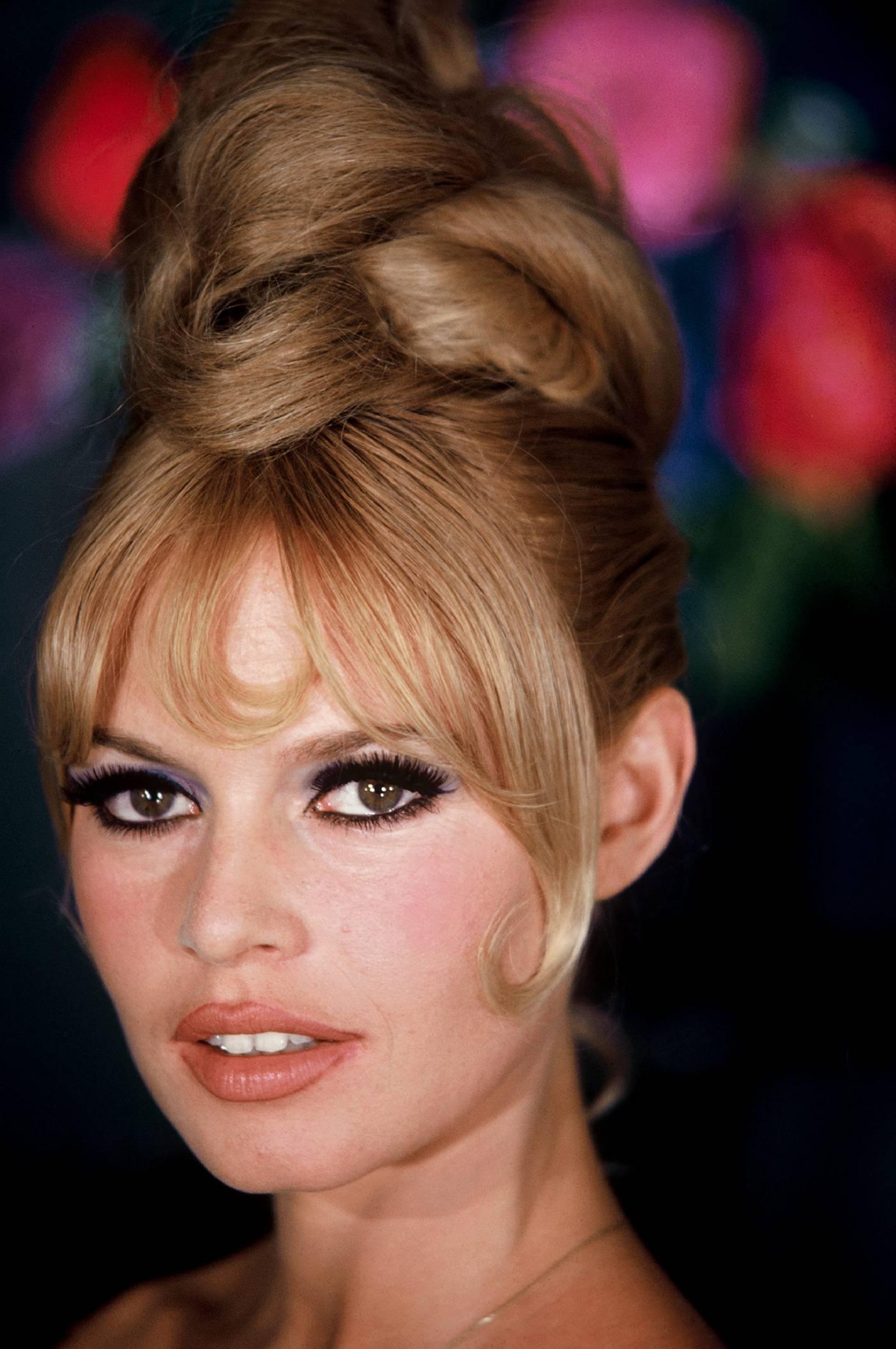 Brigitte Bardot wallpaper №9504.