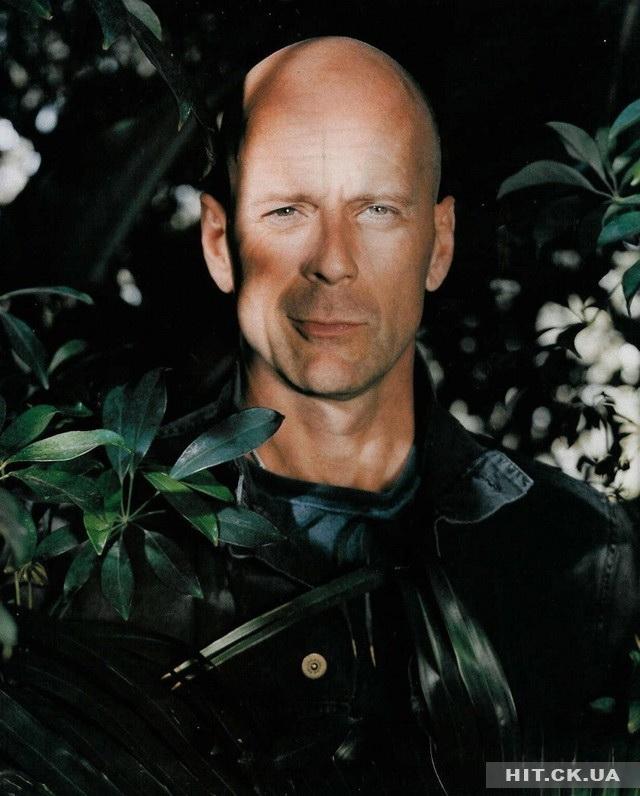 Bruce Willis wallpaper №62377.