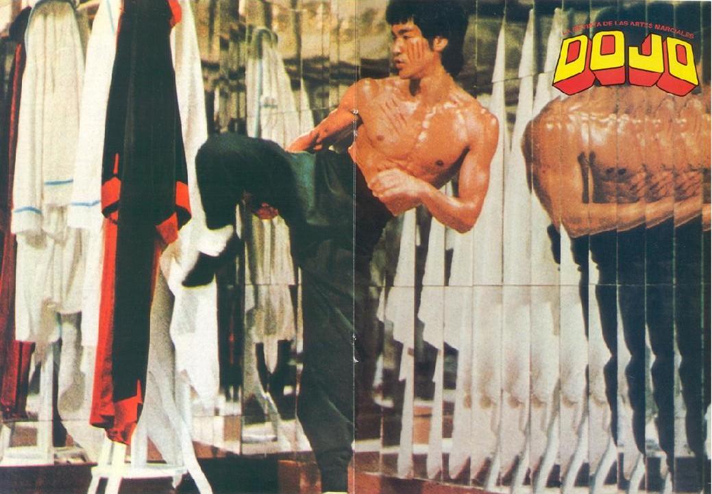 Bruce Lee wallpaper №35241.