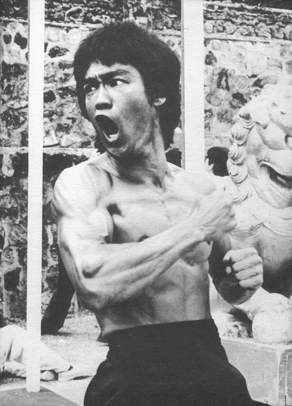 Bruce Lee wallpaper №35153.