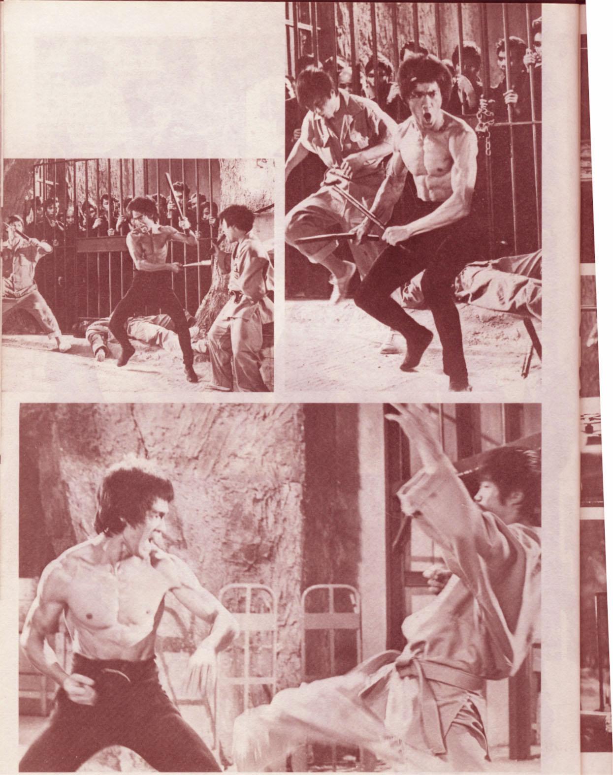 Bruce Lee wallpaper №35116.