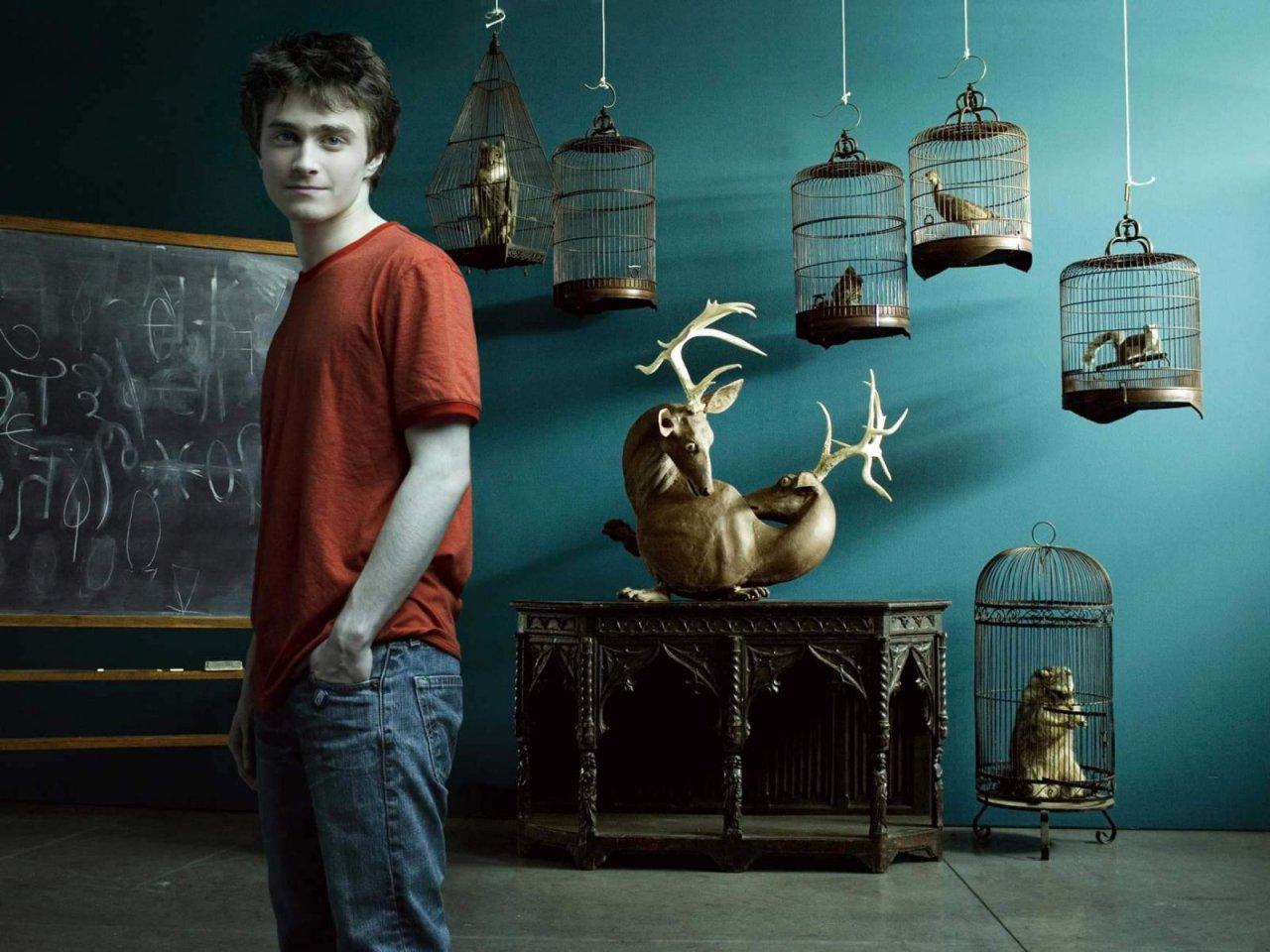 Daniel Radcliffe wallpaper №2332.