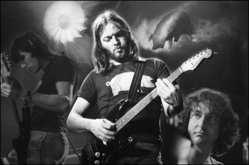 David Gilmour wallpaper №68655.