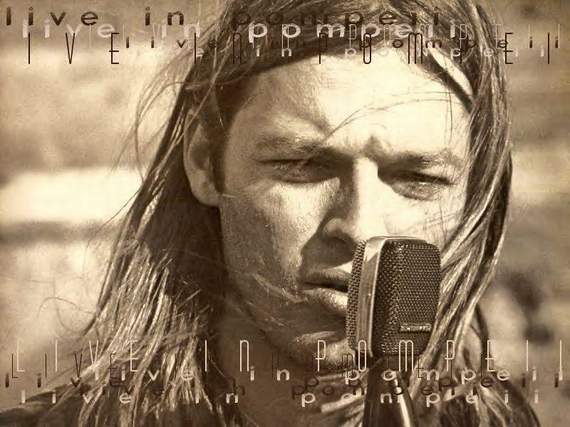 David Gilmour wallpaper №68816.