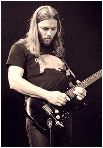 David Gilmour wallpaper №68653.