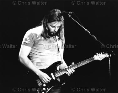 David Gilmour wallpaper №68306.
