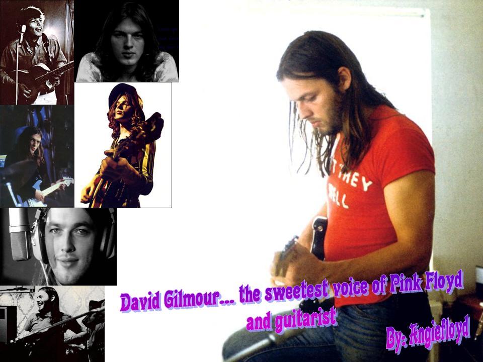 David Gilmour wallpaper №68710.