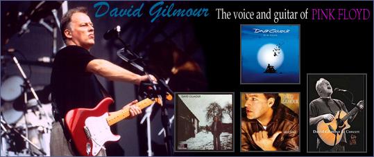 David Gilmour wallpaper №68434.