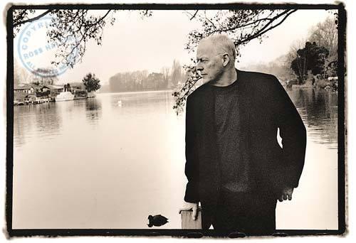 David Gilmour wallpaper №68696.