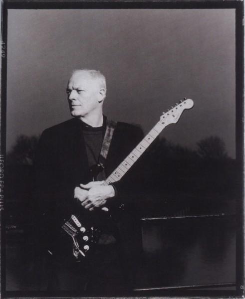 David Gilmour wallpaper №68460.