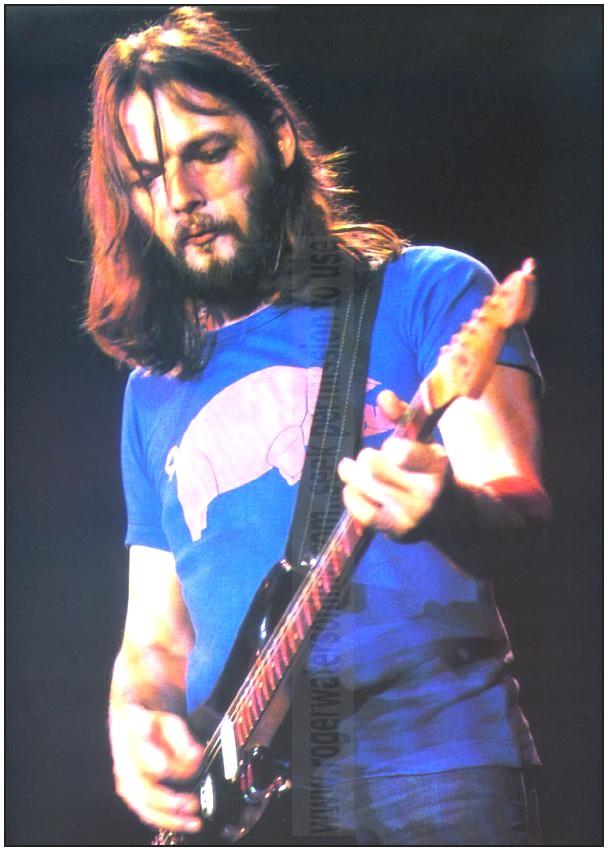 David Gilmour wallpaper №68440.