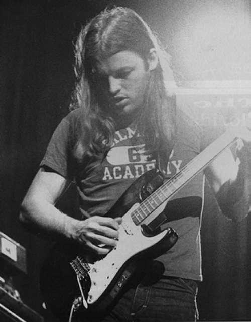David Gilmour wallpaper №68662.