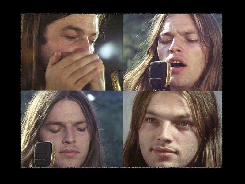 David Gilmour wallpaper №68723.